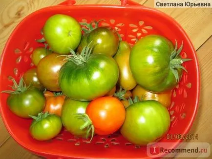 Семена биотехниките Домат Emerald Apple - 