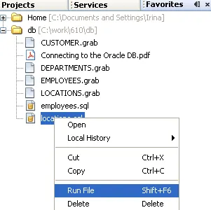 Conectarea la baza de date Oracle - manual de formare pentru NetBeans IDE