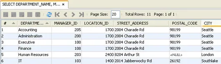 Conectarea la baza de date Oracle - manual de formare pentru NetBeans IDE