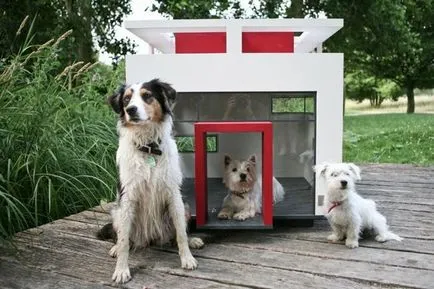 Kennel - alapokat design, fotó