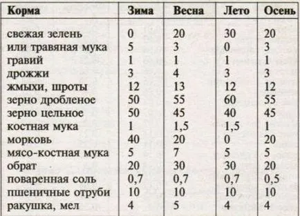 Съдържанието на пилета кокошки правила зимата osnovyne и съвети