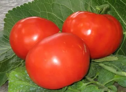 soiuri de tomate pentru depozitarea pe termen lung