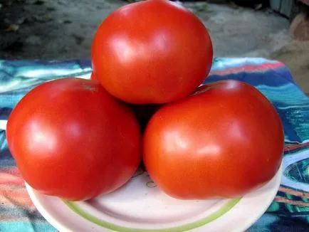 soiuri de tomate pentru regiunea Leningrad pentru sere revizuire și caracterizarea