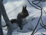 Ние строим къща в Мурманск - нашите впечатления