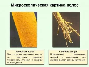 stiluri de păr, structura și structura lor - 101 salon de coafura