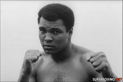 Képzési bajnok Muhammad Ali