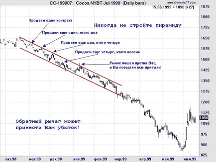 Felkapott piacon - forex alapjai