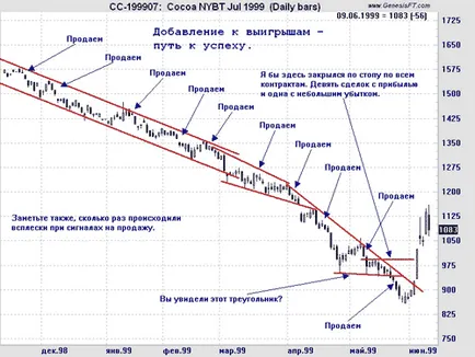 С тенденция на пазара - форекс основи