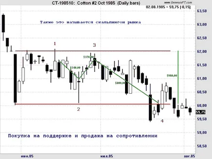 Felkapott piacon - forex alapjai