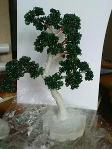 Aflați țesut bonsai