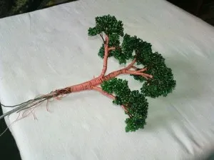 Aflați țesut bonsai