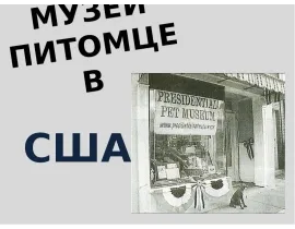 Урок 1 Тема 