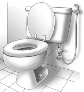 Инсталиране на хигиеничен душ в тоалетната предназначение, видове и форми, инструкции за монтаж,