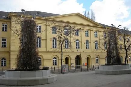 Universitatea de Muzică și Performing Arts venelor