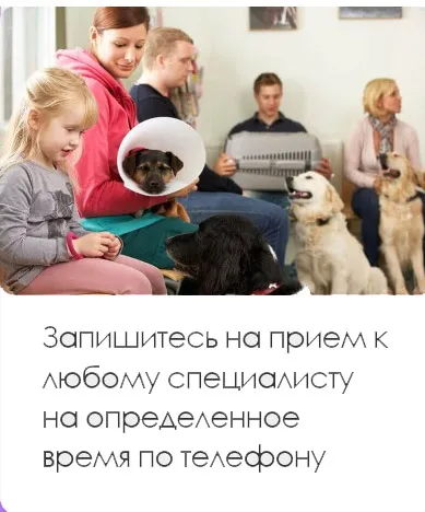 Ветеринарна клиника Chertanovo