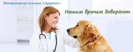 Állatorvosi klinika Kupchino, óra állatorvosi szolgáltatás „haver”