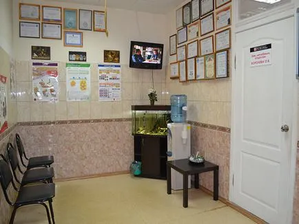 clinica veterinara pe ardezie