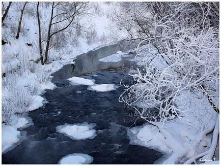 Веди кръв стопи вода