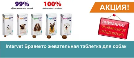 Viyo възстановяване напитка-пребиотик за котки, 1 бутилка от 150 мл, онлайн магазин за домашни любимци zoograd