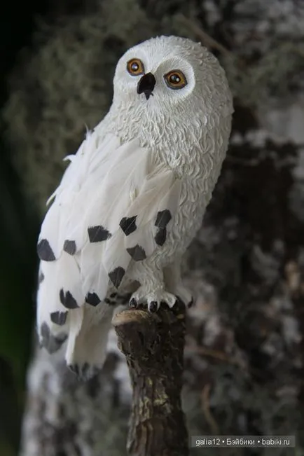 atribute magice și animalele din Harry Potter (Tonnerre)