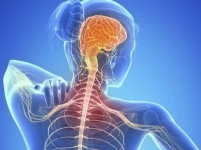 A sclerosis multiplex a nők és a férfiak tünetei, kezelése és a betegségek okait
