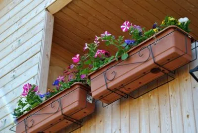 jardiniere pe balcon cu mâinile