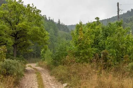 Zhiguli hegyek, hegyi Sztrelna, falu Shiryaevo