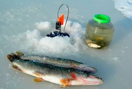 Зимни риболов на щука знамена, оборудване и тактиката на улов, справяне