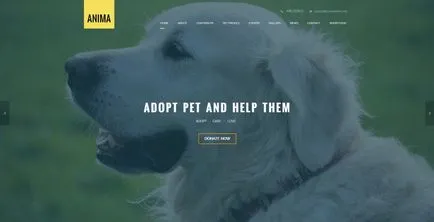 10 Premium sablonok html oldalak a háziállatok