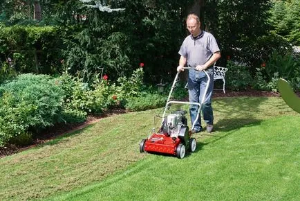 aeratorok