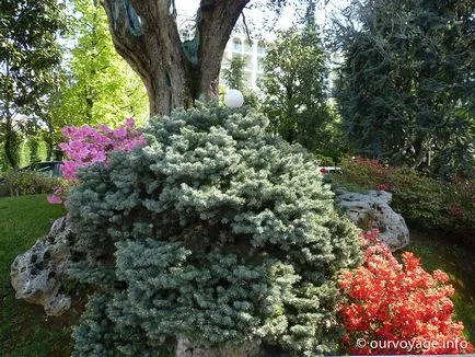 Abano Terme - Italia paradis, maktur