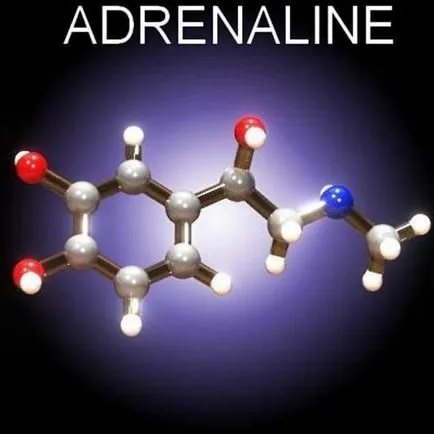 Adrenalina - alerga; noradrenalina - înainte; Cortizolul - sta în continuare, pentru toată știința în termeni simpli