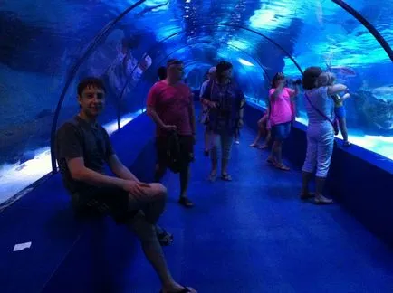 Akvárium (akvárium) Antalya