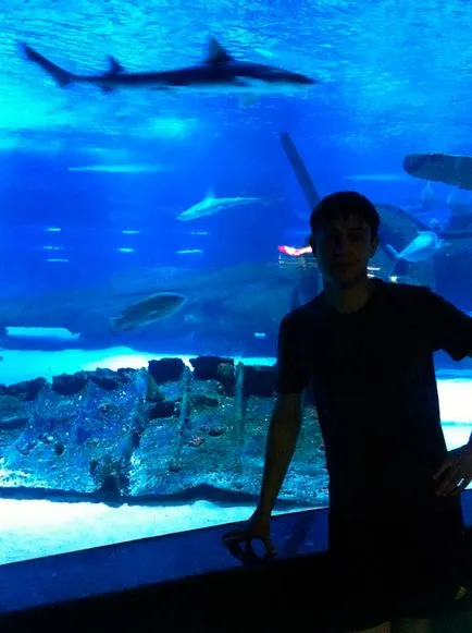 Akvárium (akvárium) Antalya
