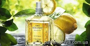 Illat az illata bergamot