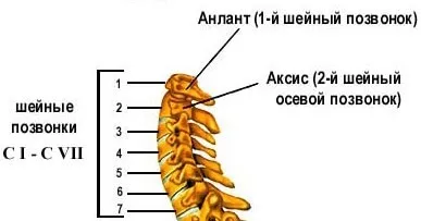 Osteoarthritis a nyaki gerinc (unkovertebralny) tünetek és kezelés