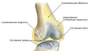 Simptomele si tratamentul genunchiului chondromatosis comun