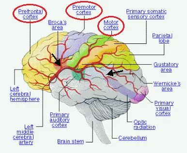 Lobnodolevaya epilepsie simptomatică