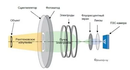 Рентгенови лъчи въздействат върху човешкото вреди и ползи