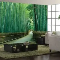 Bamboo în interiorul 75 de soluții moderne