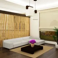 Bamboo în interiorul 75 de soluții moderne