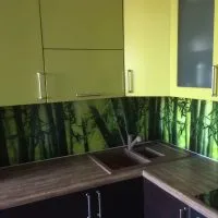 Bamboo în interiorul 75 de soluții moderne