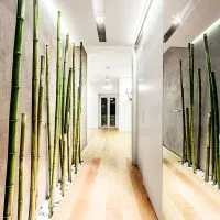 Bamboo în interiorul 75 de soluții moderne