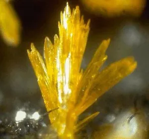 Orpiment, varázslatos világában drágakövek