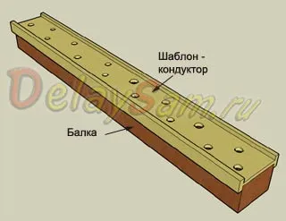 fascicul Derevyagina