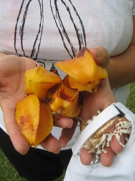 И знаеш ли как мангото цветове - най-добрият тропически плодове