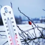 Temperatura bazala la temperatura rece după rece 35