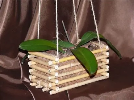 Bamboo a belső 7 izgalmas lehetőségek