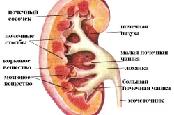 Hurt a vesék a menstruáció alatt okoz a betegség