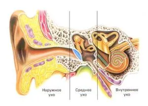 симптоми на човека болестни ухо и лечение